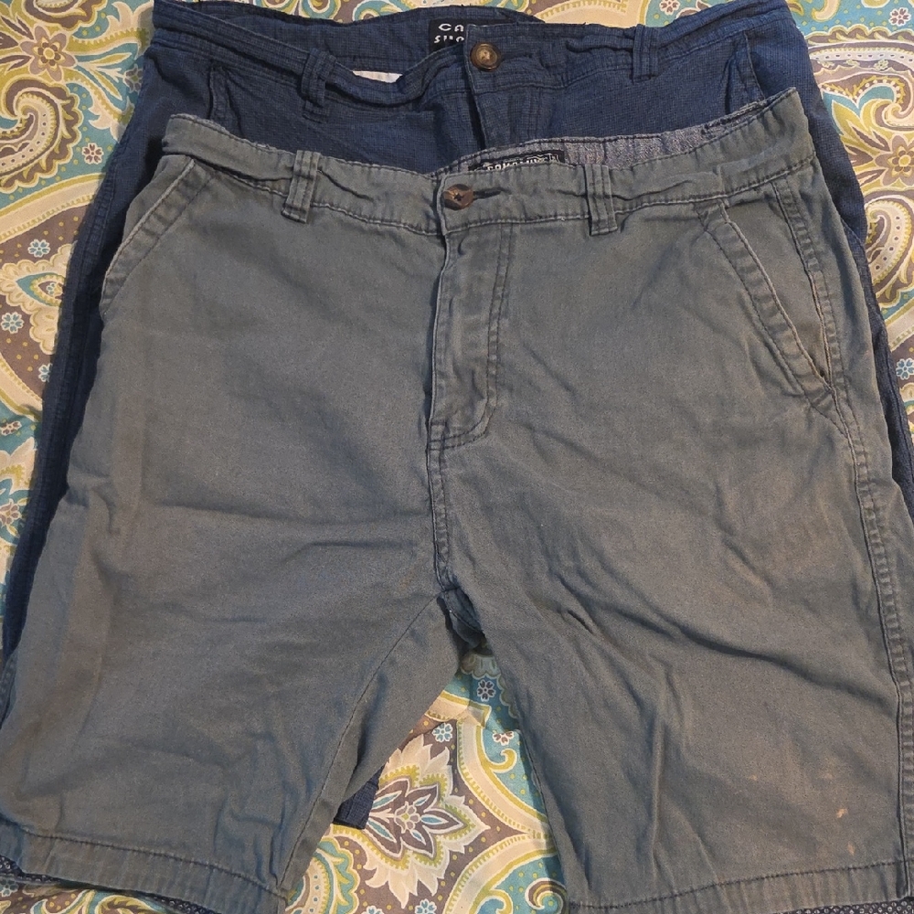 Blue and Green Flat Front Shorts Relaxed Fit